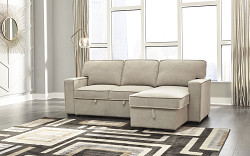  																			Darton 2-Piece Sleeper Sectional wi...
																		 